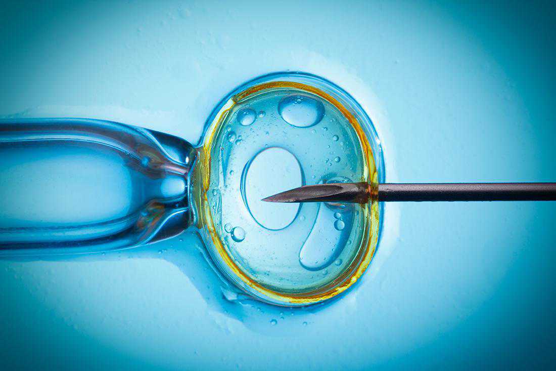 浙江哪个医院有供卵的试管婴儿，2024
上海正规靠谱的三甲供卵机构有哪些？