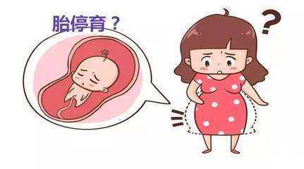 浙江能做试管的私立医院有几家，西宁捐卵包生男孩不可信，2024青海试管婴儿